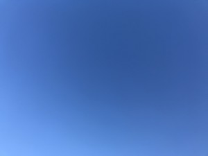 49BFAC2D-9ABF-4B1B-9D44-428A0C3BE25F